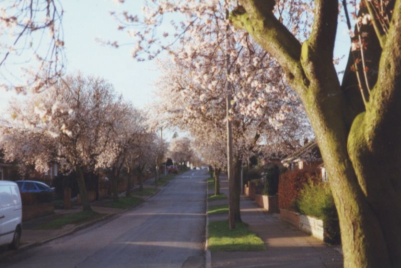 File:014r0ae300hsp.jpg