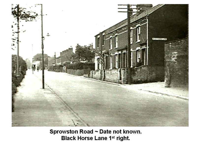 File:014r0ae3009gp.jpg
