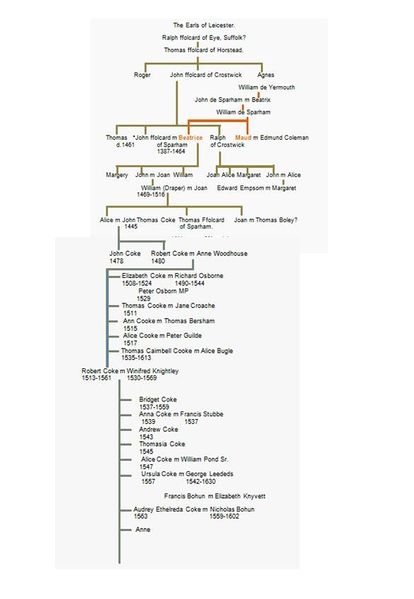 File:Ffolcard Tree 1.JPG