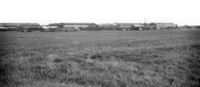 Factories on Salhouse Road taken from old airfield – Photo from George Plunkett Collection.