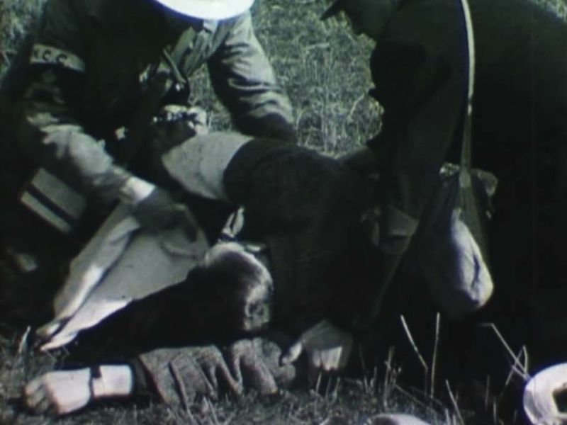 File:FAPX6.jpg